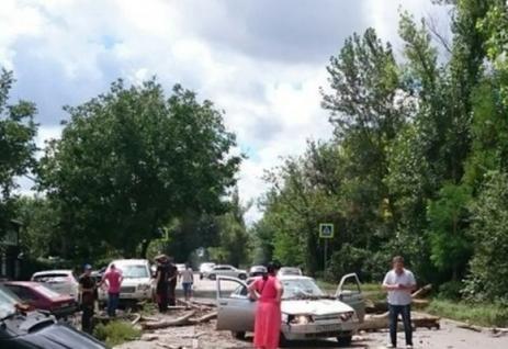 Дерево в Ростове упало на ехавший автомобиль